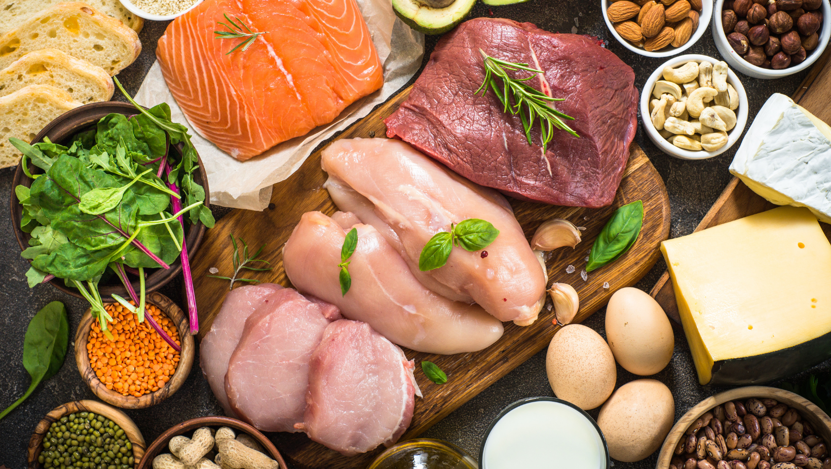 Importanța proteinelor în dieta câinilor