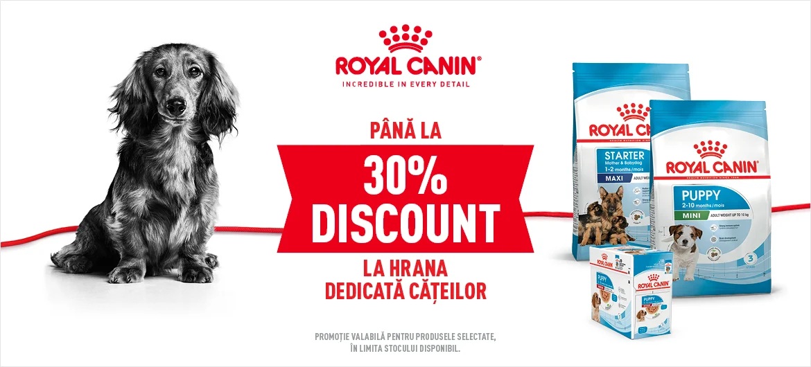 Până la 30% reducere la hrana dedicată cățeilor - profită acum de oferta Royal Canin Starter, Puppy & Junior pe Petmax.ro