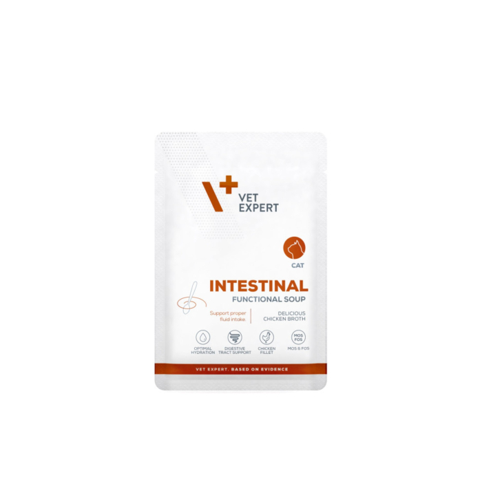 4T Dieta FUNCTIONAL SOUP -INTESTINAL CAT- plic 40g