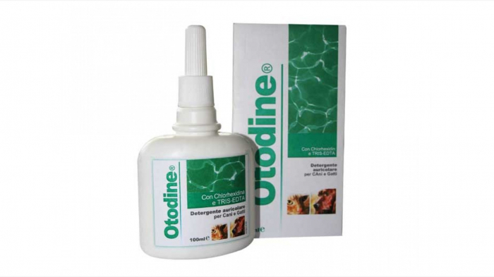 Otodine 100 ml