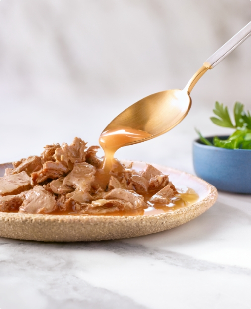 GOURMET PERLE CU VÂNAT ȘI LEGUME ÎN SOS, 85g [2]