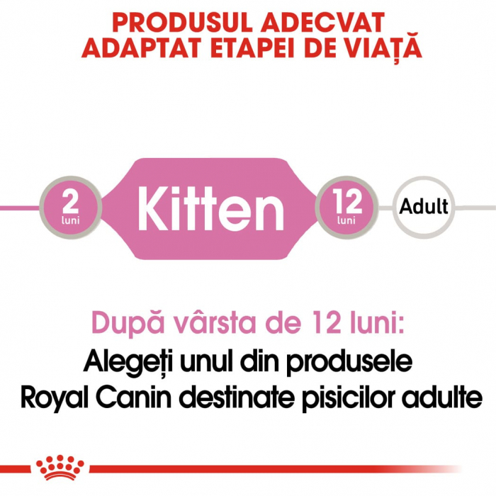 ROYAL CANIN Kitten Instinctive in Gravy Pouch, 12 plicuri x 85 g [2]