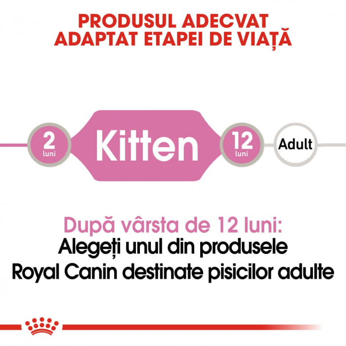 ROYAL CANIN Kitten in Loaf Pouch 12 plicuri x 85 g [2]