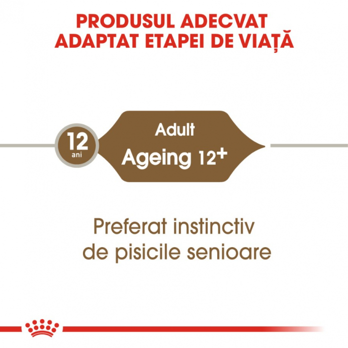 Royal Canin Feline Ageing +12, 1 X 85 g [5]