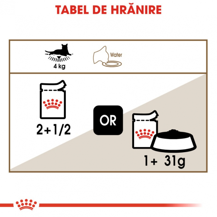 Royal Canin Feline Ageing +12, 12 plicuri x 85 g [6]