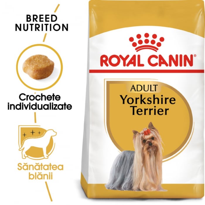 caini yorkshire terrier mini toy de vanzare Royal Canin Yorkshire Adult, 0.5 kg