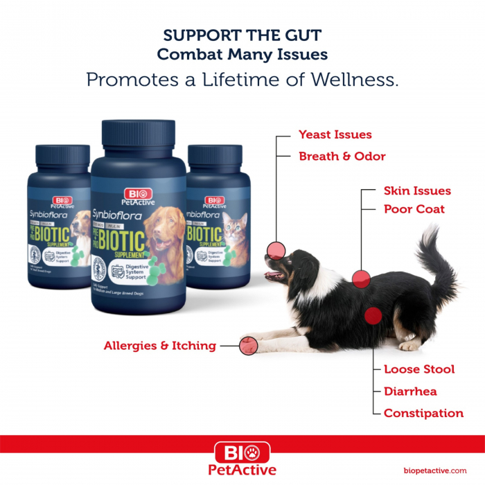 Bio PetActive Synbioflora pentru Caini de Talie Medie si Mare  60 tablete [2]