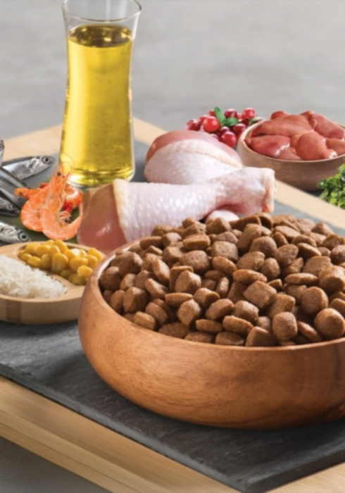 BonaCibo Adult Chicken&Rice with Anchovy 15 kg [3]