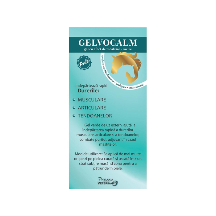 GELVOCALM FORTE GEL INCALZIRE-RACIRE 250G [2]