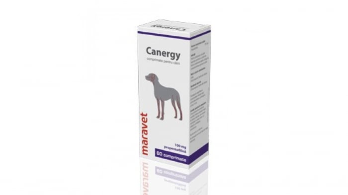 Canergy 100 mg 6 X 10 Tablete [1]