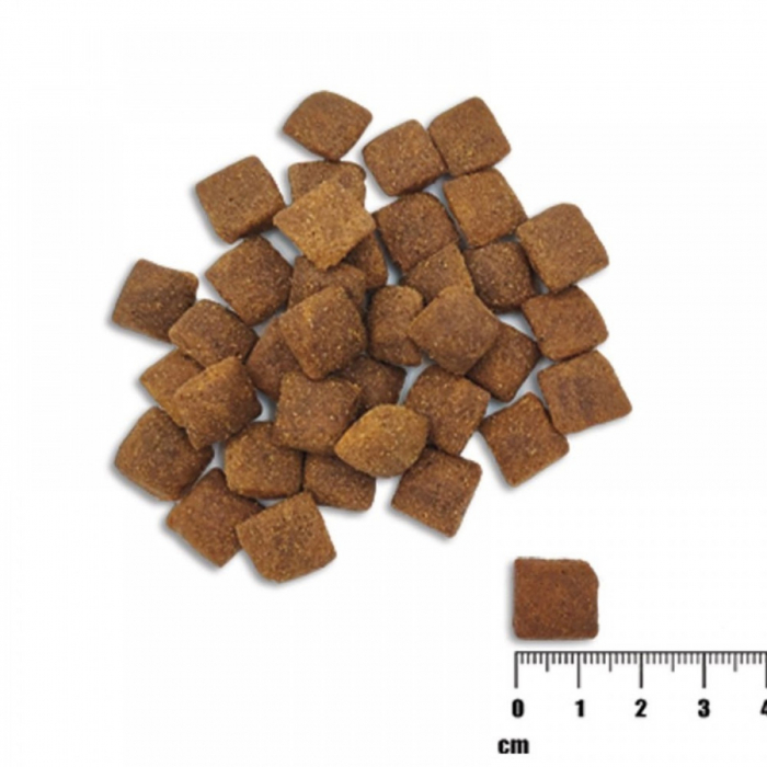 Hrana uscata pentru caini adulti, RAW PALEO HEALTHY GRAIN, pui, 10 kg [2]