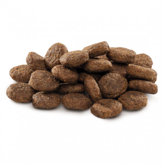 Hrana uscata pentru caini Brit Premium by Nature Junior L 3 kg [2]