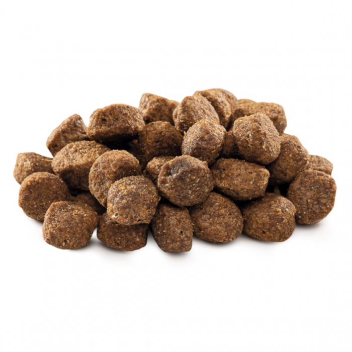 Hrana uscata pentru caini Brit Premium by Nature Senior S plus M 15 kg [2]