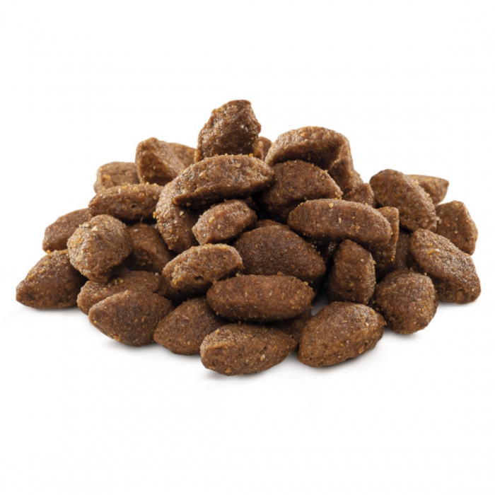 Hrana uscata pentru caini Brit Premium by Nature Sport 3 kg [2]