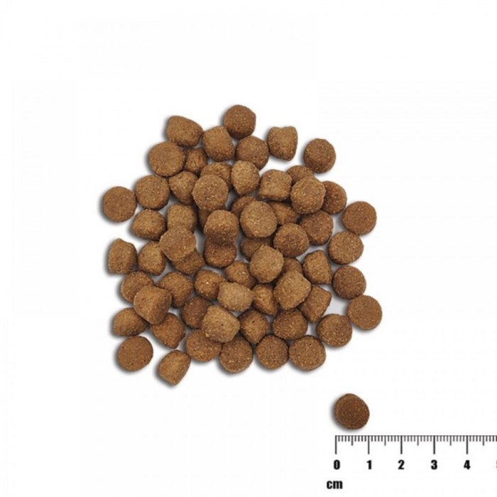 Hrana uscata pentru catei junior, RAW PALEO HEALTHY GRAIN, somon, 10kg [2]