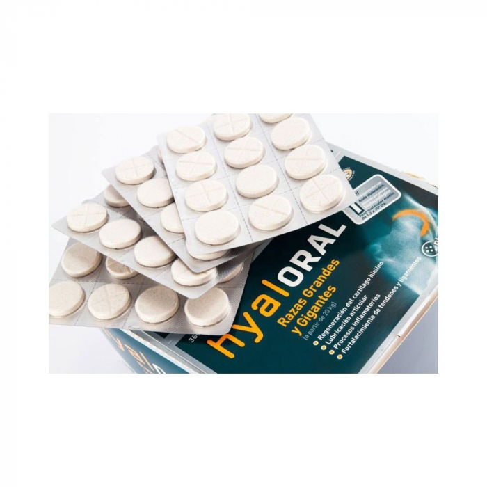 Hyaloral Large Breed 12 tablete/blister [3]