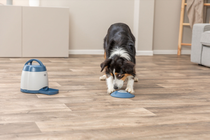 Jucarie Dog Activity, Memory Trainer 3.0, 20 x 24 cm [2]