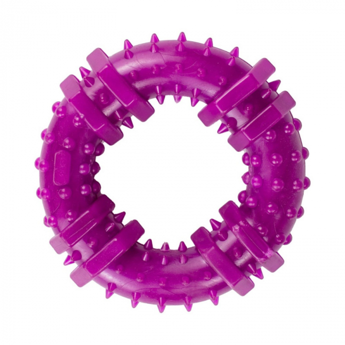Jucarie in forma de Inel din cauciuc termoplastic, multicolor, 12 cm [5]
