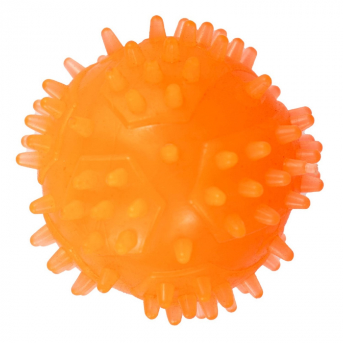 Jucarie in forma de minge cu tepi din cauciuc termoplastic, multicolor, 6 cm