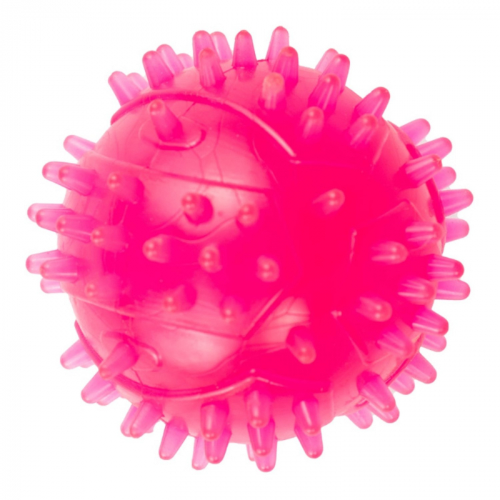 Jucarie in forma de minge cu tepi din cauciuc termoplastic, multicolor, 7.5 cm [5]