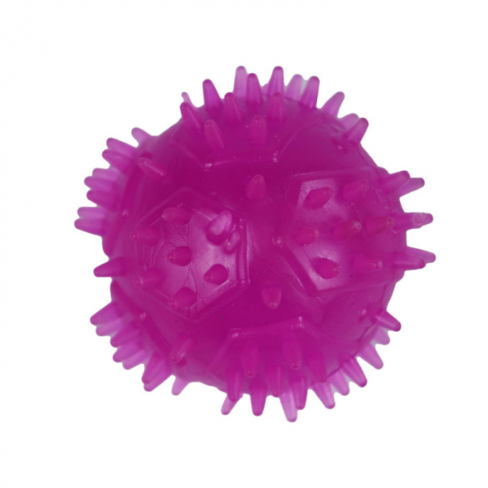 Jucarie in forma de minge cu tepi din cauciuc termoplastic, multicolor, 4 cm [5]