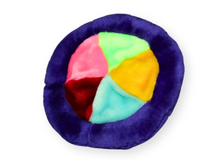 Frisbee multicolor din plus Record - 21cm [2]