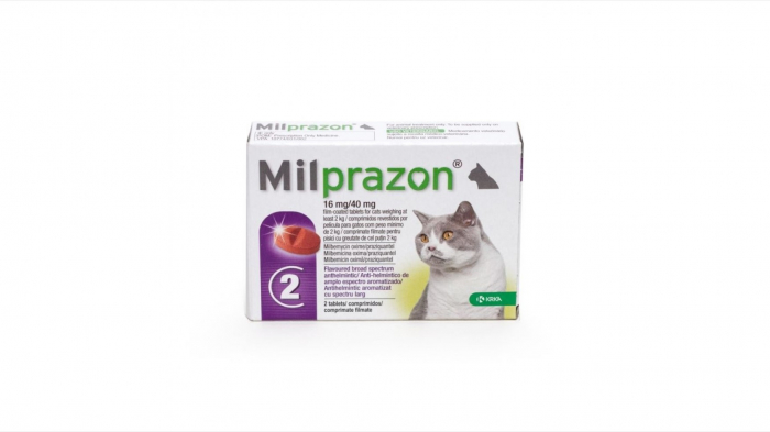 Milprazon Cat 16 40 Mg (2 – 8 Kg), 1 Tableta