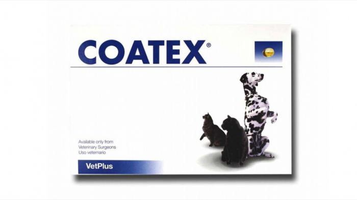 Coatex 60 capsule