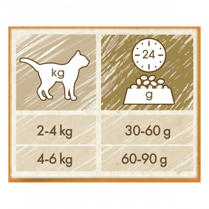 Purina Cat Chow Pisica Adult cu Pui - 1,5 kg [7]