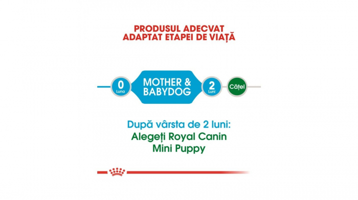 Royal Canin Mini Starter 3 kg [3]