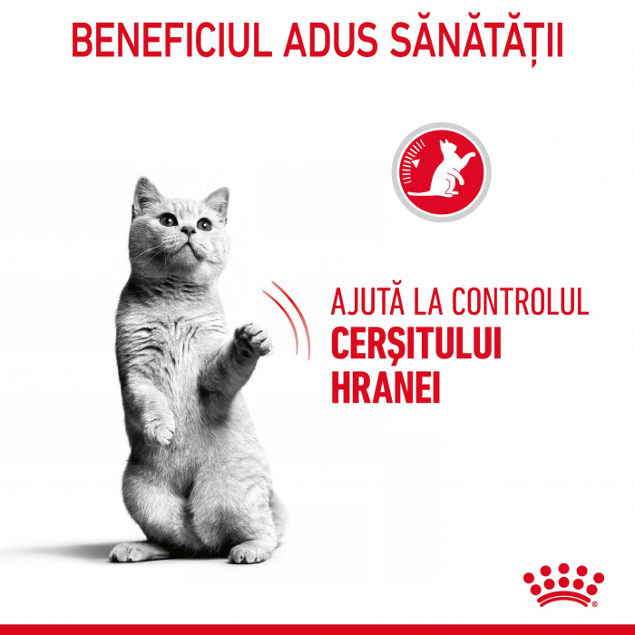 Royal Canin Appetite Control Care, 3.5 kg [10]