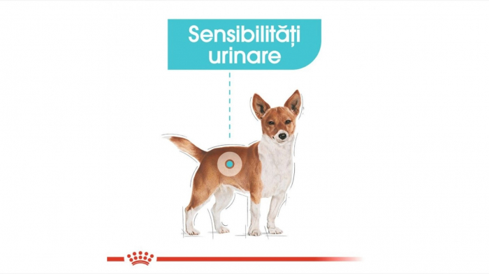 Hrana Royal Canin Mini Urinary Care, 3 Kg [6]