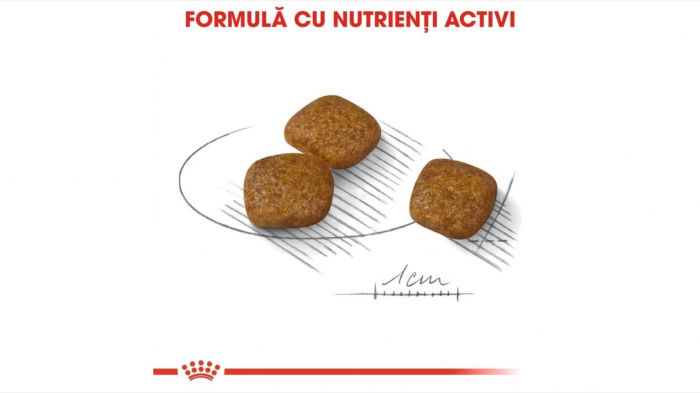 Hrana Royal Canin Mini Urinary Care, 3 Kg [3]
