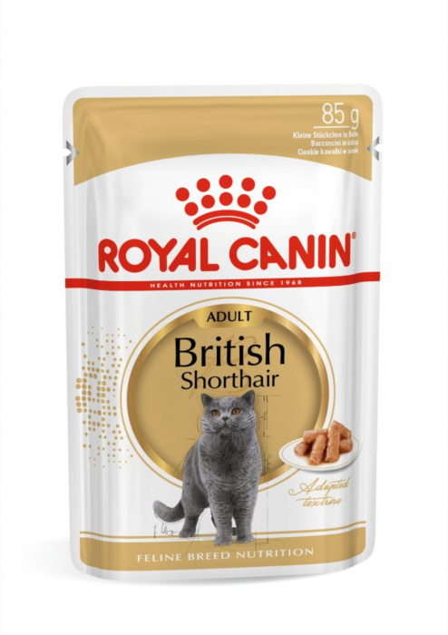 Royal Canin British Shorthair Adult hrana umeda pisica (in sos), 1 x 85 g