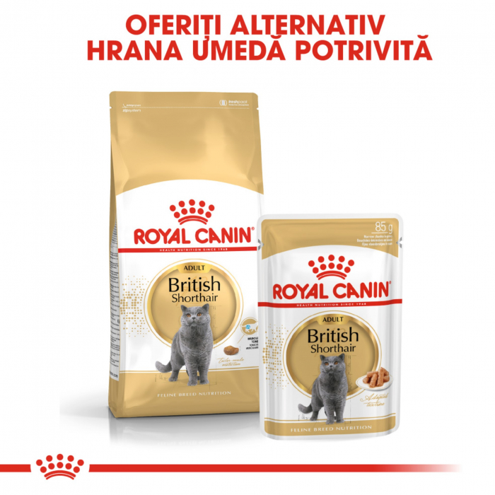 Royal Canin British Shorthair Adult hrana umeda pisica (in sos), 12 x 85 g [4]