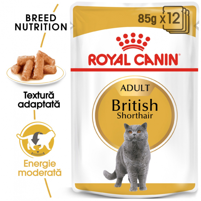 Royal Canin British Shorthair Adult hrana umeda pisica (in sos), 12 x 85 g [7]