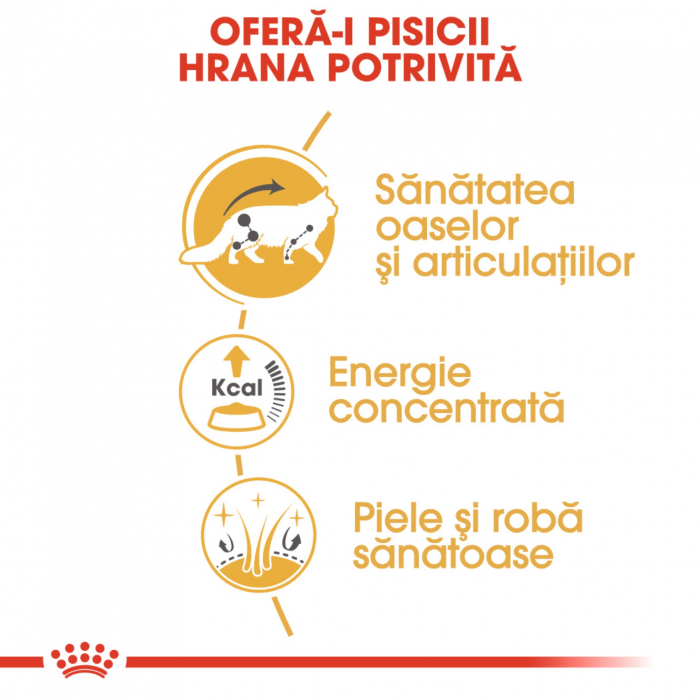 Royal Canin Maine Coon Adult hrana umeda pisica (in sos), 1 x 85 g [4]