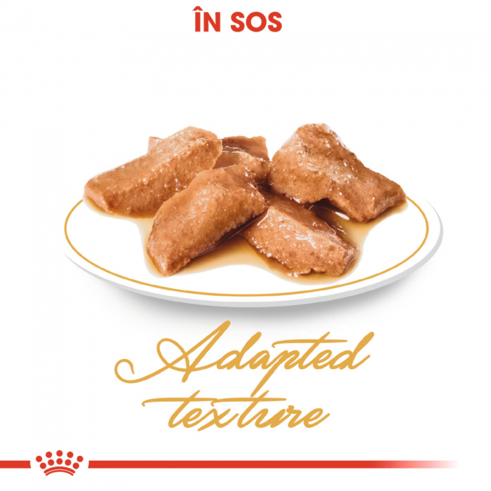 Royal Canin Maine Coon Adult hrana umeda pisica (in sos), 1 x 85 g [3]