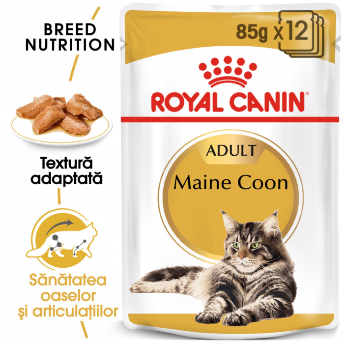 Royal Canin Maine Coon Adult hrana umeda pisica (in sos), 1 x 85 g [7]