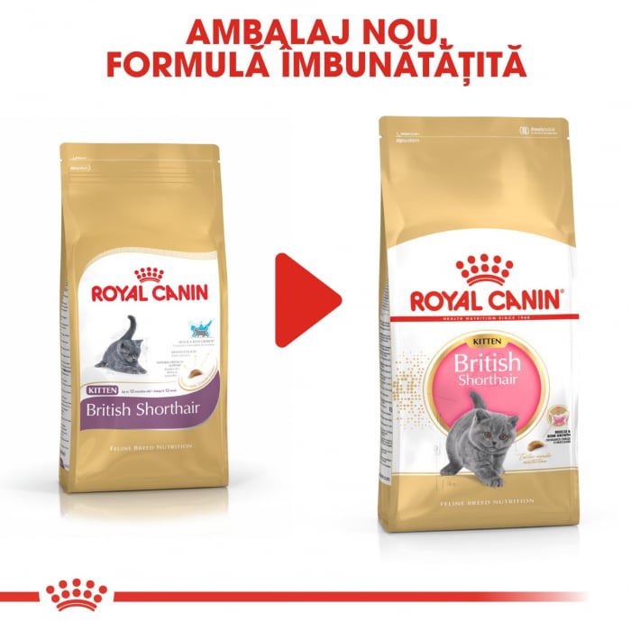Royal Canin British Shorthair Kitten, 10 Kg [6]