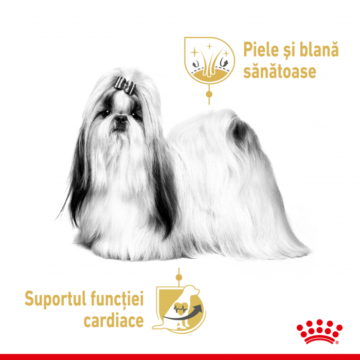 Royal Canin Shih Tzu Adult hrana umeda caine (pate), 85 g [6]