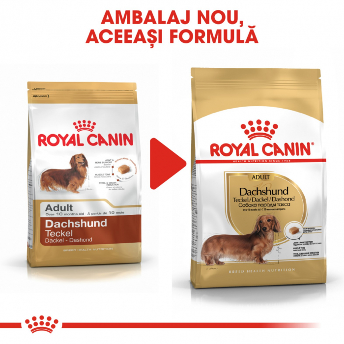 Royal Canin Dachshund Adult 1.5 kg [2]