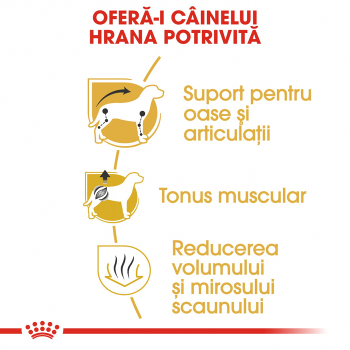 Royal Canin Dachshund Adult 1.5 kg [6]