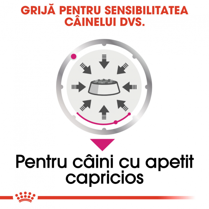 Royal Canin Exigent Adult hrana umeda caine, apetit capricios (pate), 12 x 85 g [5]