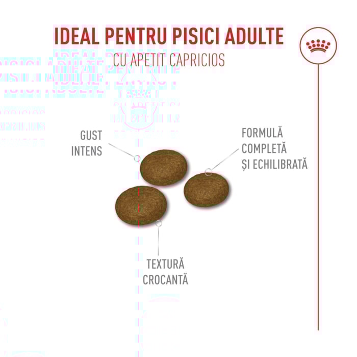 Royal Canin Fussy Exigent hrana uscata pisici adulte apetit capricios 2 kg [7]