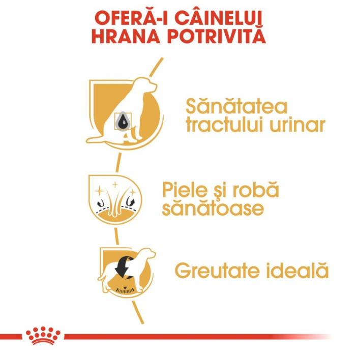 Royal Canin Bichon Frise Adult, 1.5 kg [7]