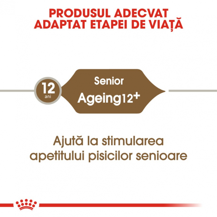 Royal Canin Feline Ageing +12 ani, 4 kg [5]