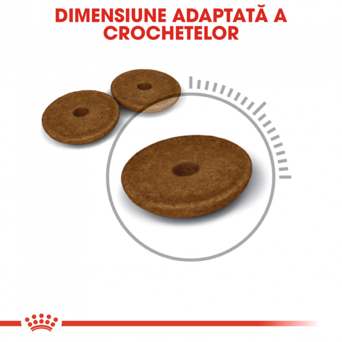 Royal Canin Feline Digestive Care, 400 g [5]
