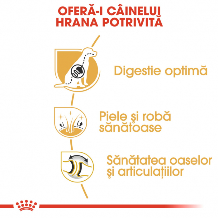 Royal Canin German Shepherd Adult 3 Kg [6]