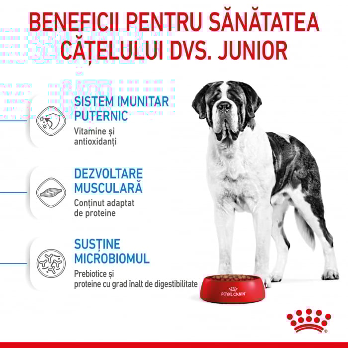 Royal Canin Giant Junior 15 Kg [10]